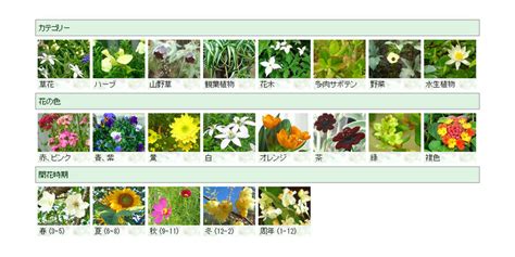 花種類|花の名前を調べる